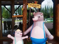 -黄海国家森林公园