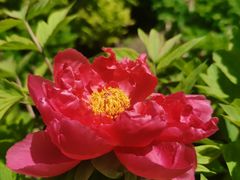 -莲花池公园