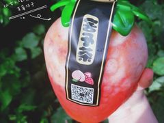 -舍予茶(桂林路店)