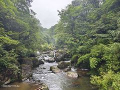 -龙苍沟森林公园