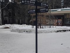 -北海道神宫