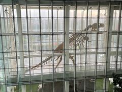 -吉林省自然博物馆