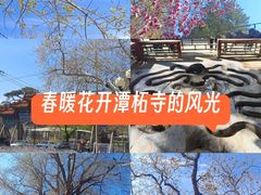 -潭柘寺景区