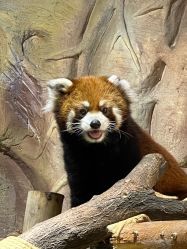 -Zoolung Zoolung动物主题公园(海信广场店)