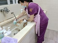 -暖阳宠物医院·犬猫康复中心·骨科