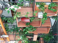 -喜越泰莱·泰越料理(海逸新天地店)