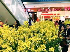 -天虹购物中心(石路店)