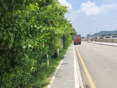 -长洲岛