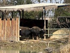 -宁波野生动物园