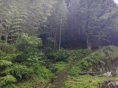 -林坑古村落