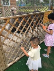 点击看大图 -萌宠亲子动物乐园(槐房万达店)