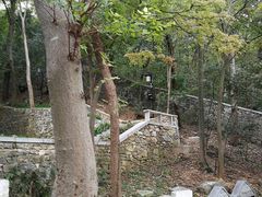 -南山风景名胜区