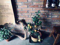 -春庄咖啡SpringHues(钟楼小区店)