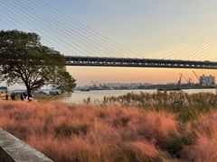 -上海浦江郊野公园-4号停车场