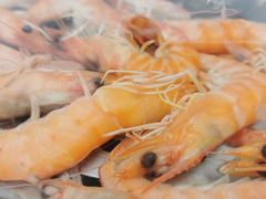 -四海鲜渔家菜(黄金海岸店)