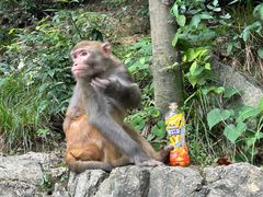 -黔灵山公园