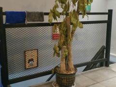 -我们家私房纸包鱼·烧烤