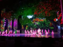 -澜沧江湄公河之夜歌舞篝火晚会
