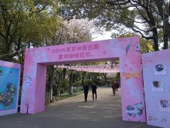 -金鸡湖桃花岛