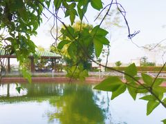 景观位-侯臣咖啡文化村