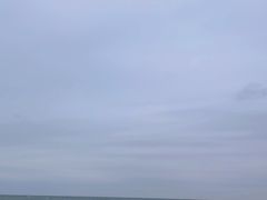 -贝壳沙滩