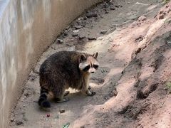 -青藏高原野生动物园