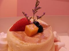 -狐狸和向日葵(北京路店)