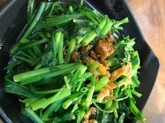 -明潭茶老爸