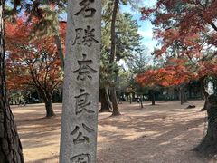 -奈良公园