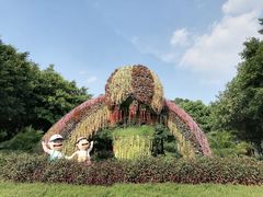 -王借岗森林公园