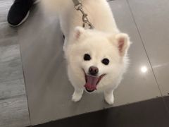 -爱侣宠医·鹦鹉专科·小型哺乳类·异宠专科(灵石路店)