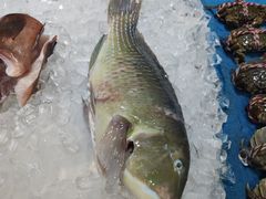 -海南大院(海甸岛店)
