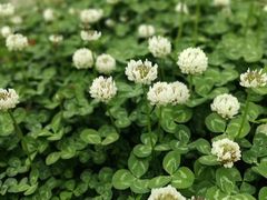 -味好美土菜(迎宾东路店)