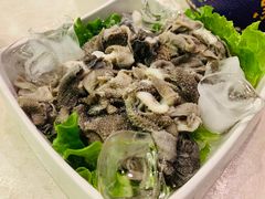 -紫光园(顺义店)