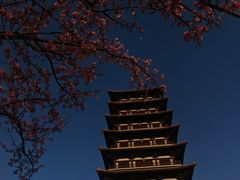 -大伊山景区