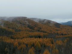 -塞罕坝国家级自然保护区