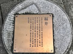 -碧江金楼