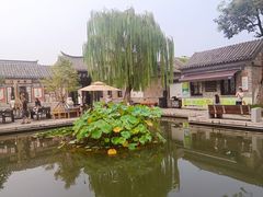 -百花洲