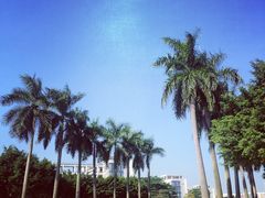 -华南师范大学(广州大学城校区)
