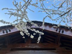 -三里河公园