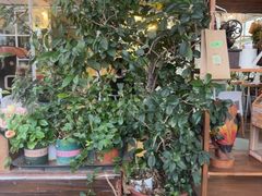 -小时光咖啡馆(北锣鼓巷店)