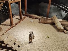 -天津zoonly动物主题公园