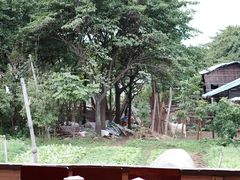 -天然居(伦教店)