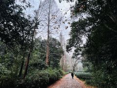 -龙井壹号·茶缘山景宴(龙井村店)