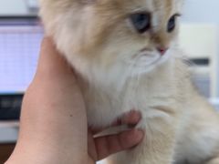 -心仪动物医院·牙专科·肿瘤·心脏科(西客站院)