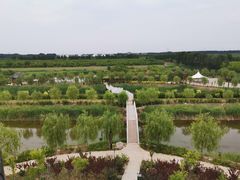 -千年枣林游览区