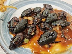 -寻味顺德·南记酒家·传统顺德菜·鱼生(广源路店)