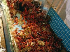 -星伦多自助料理(花山金鹰店)