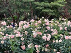 -人民公园(罗湖区)