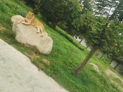 -西安秦岭野生动物园